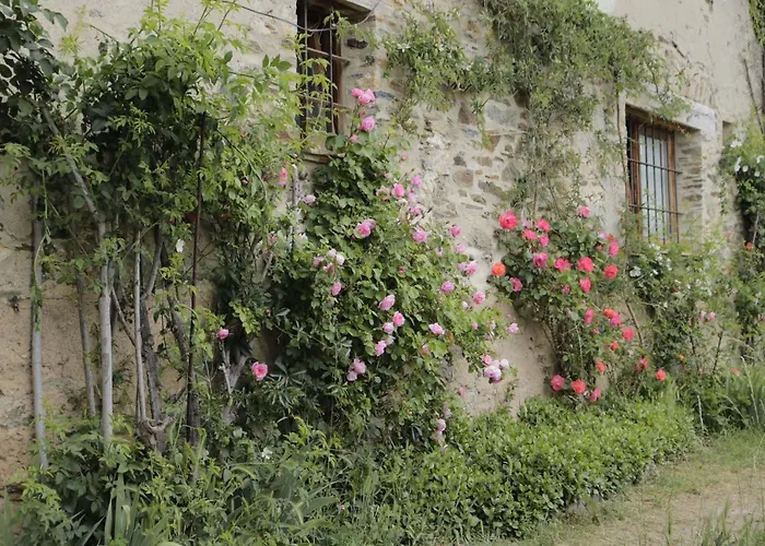 Casa Tapiolas Rectoria