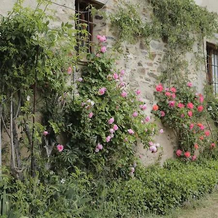 Casa Tapiolas Rectoria